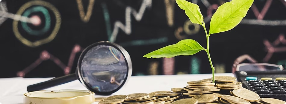 Investition und Finanzplanung